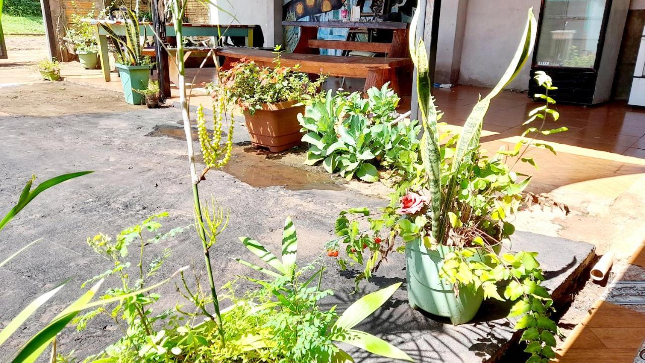 Hostal Sol Iguazu 푸에르토이과수 외부 사진